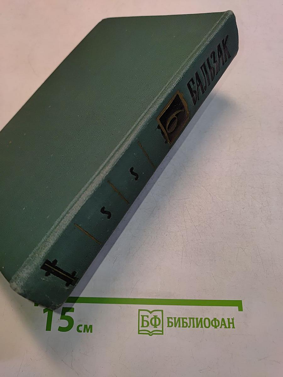 Человеческая комедия. Том 6