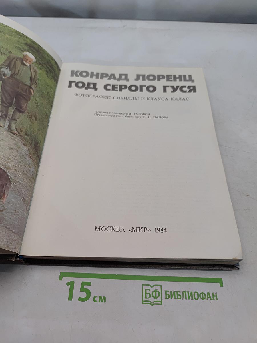 Год серого гуся