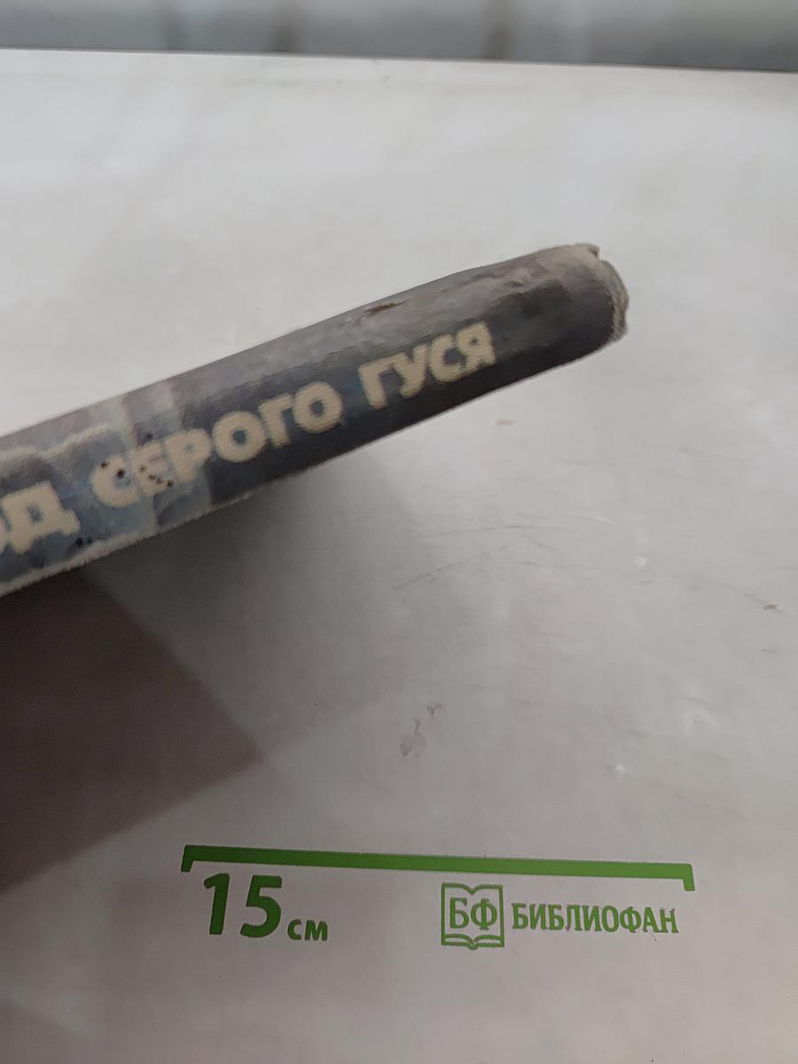Год серого гуся