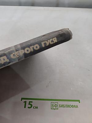 Год серого гуся