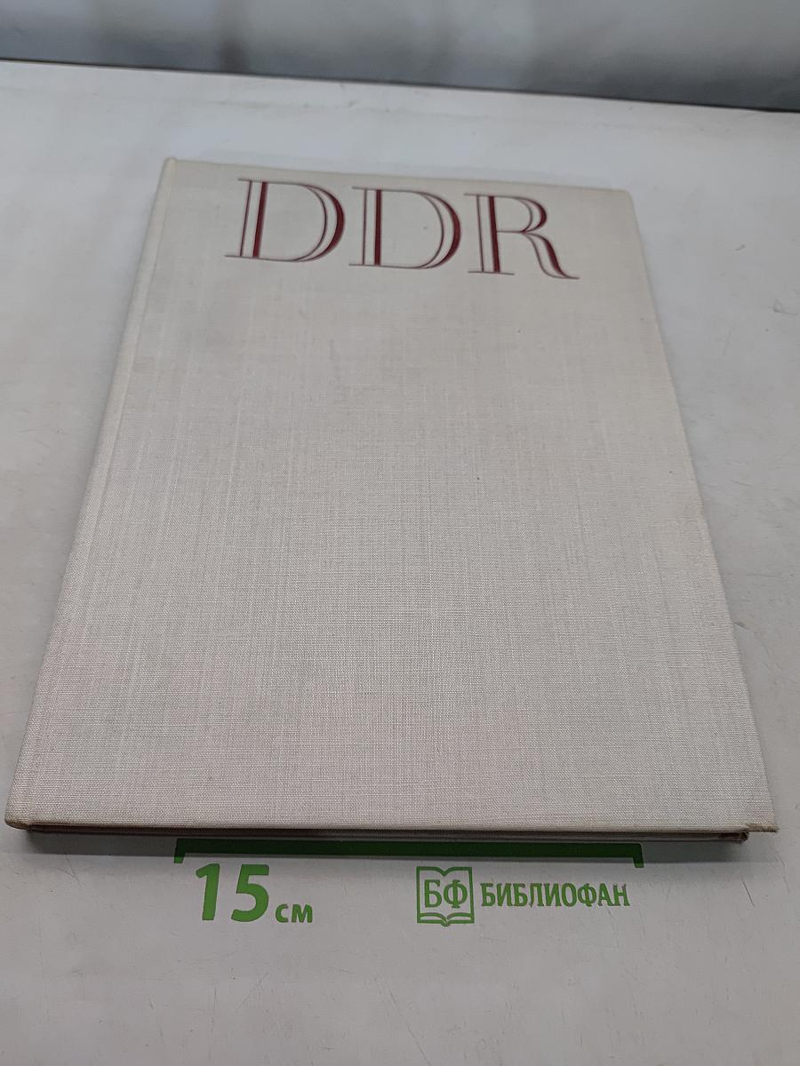 Ddr