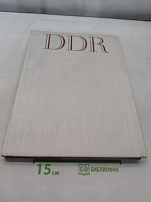 Ddr