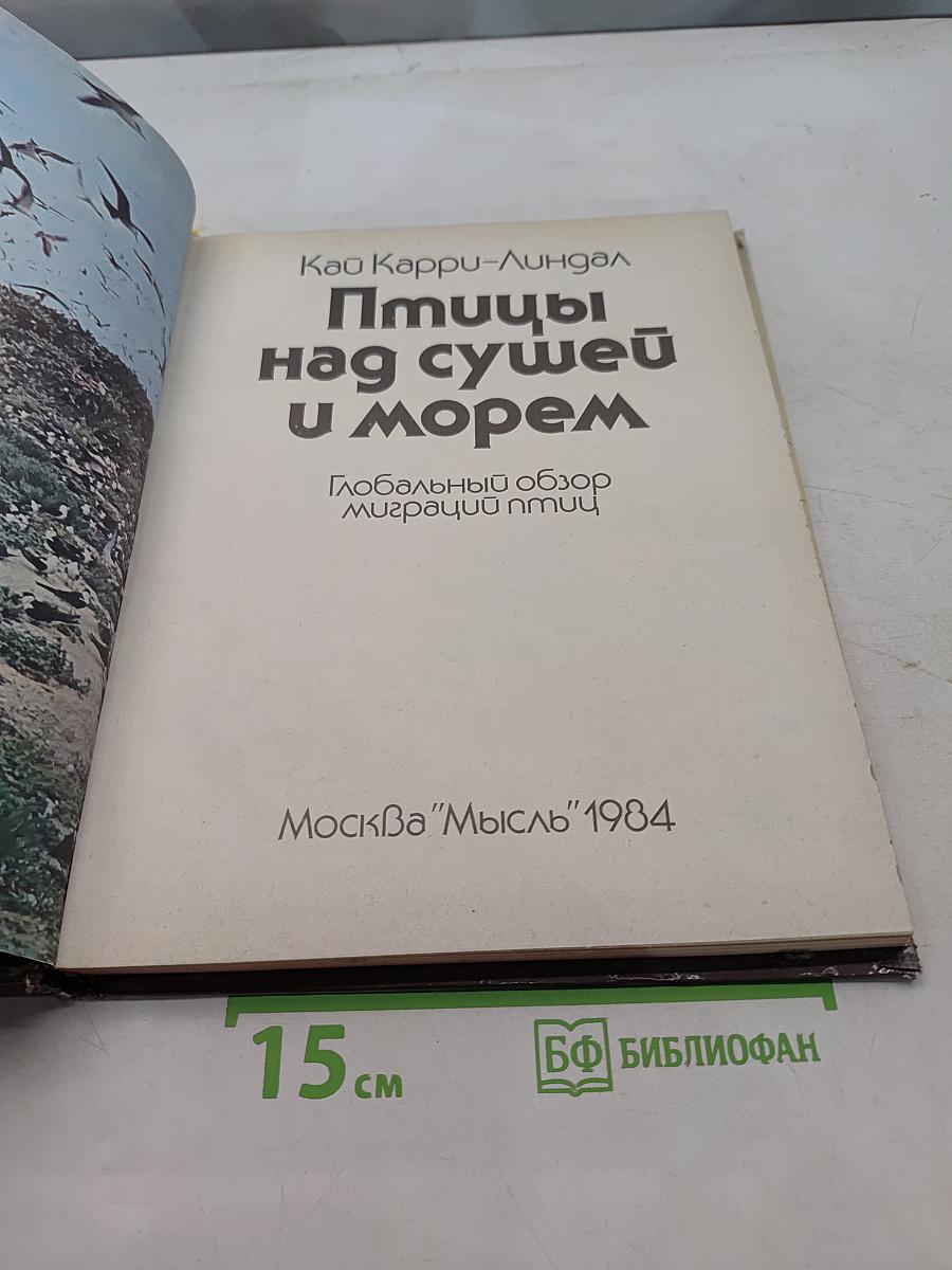 Птицы над сушей и морем