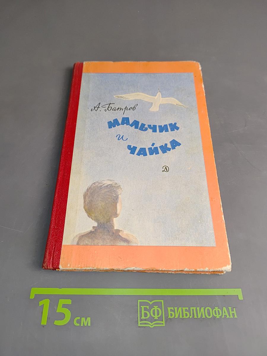 Мальчик и чайка