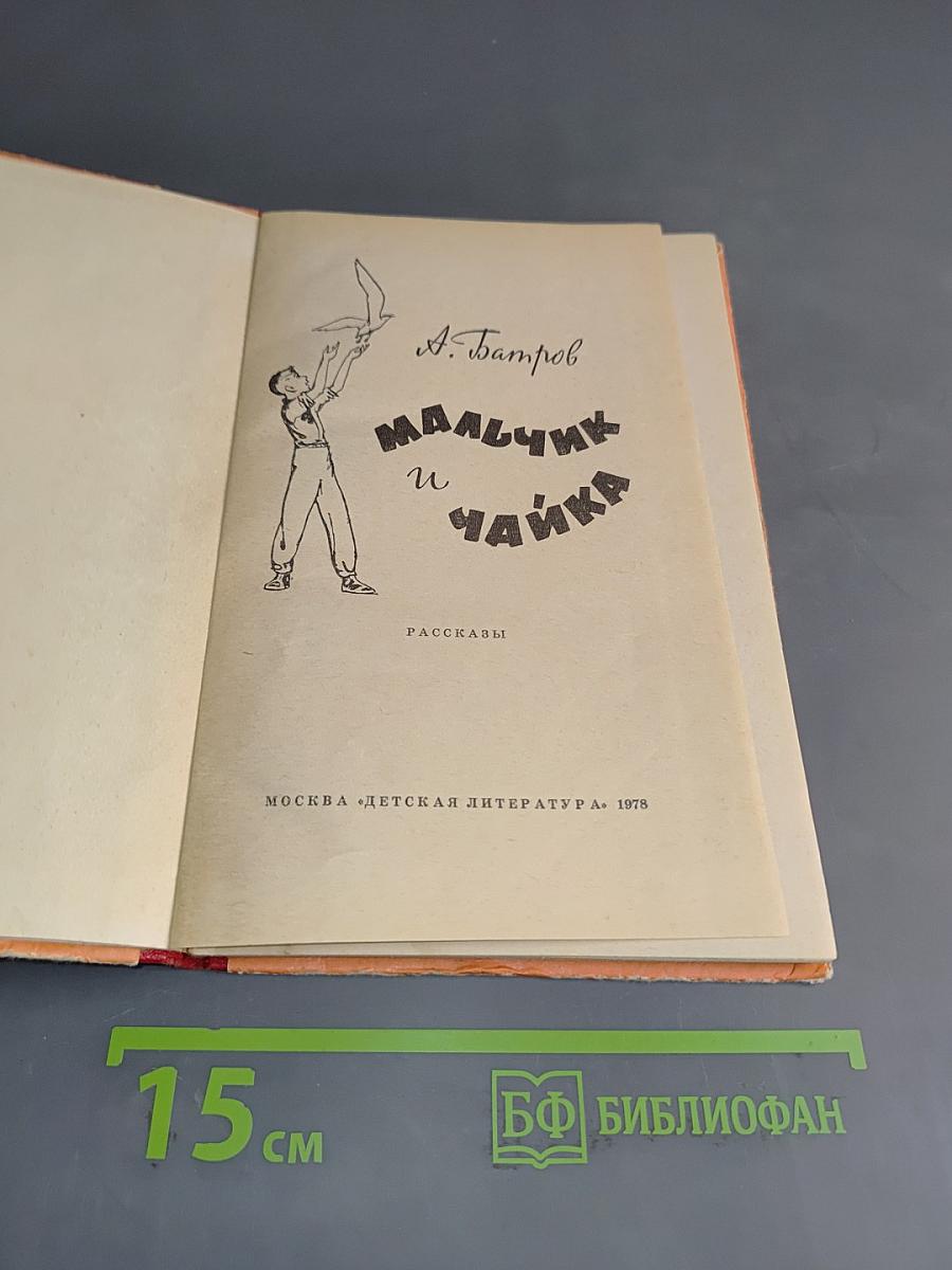 Мальчик и чайка