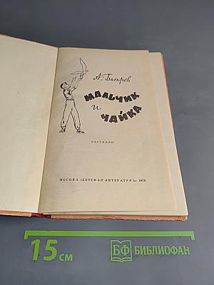 Мальчик и чайка