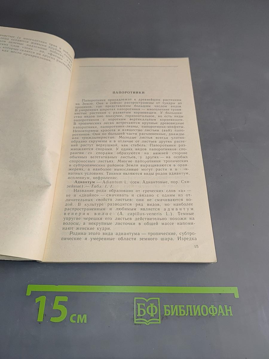 Цветы в вашем доме