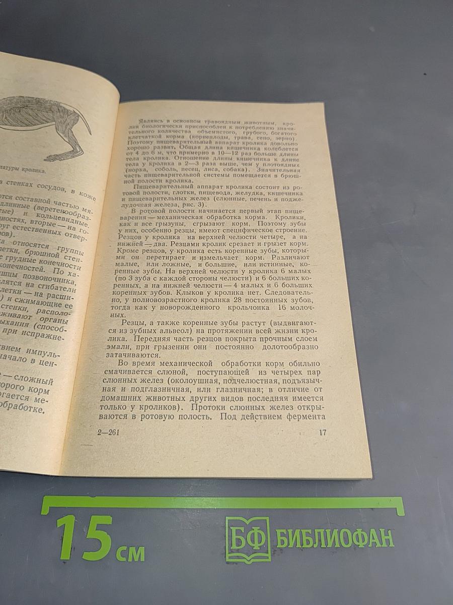 Учебная книга кроликовода