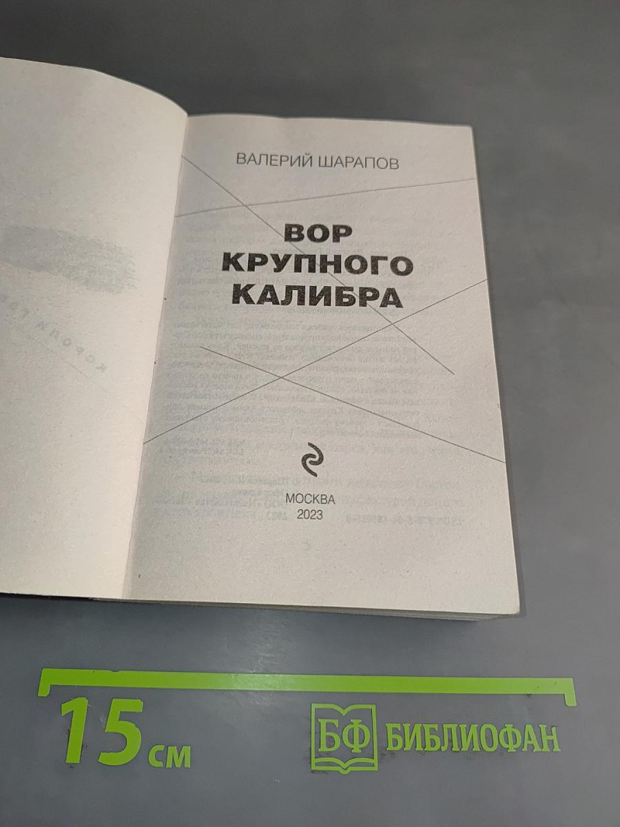 Вор крупного калибра