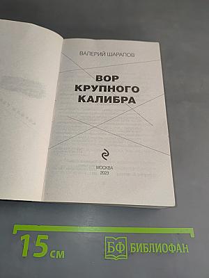 Вор крупного калибра
