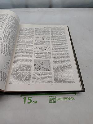 Большая медицинская энциклопедия. Том 9. ИБН-РОШД-ЙОРДАН