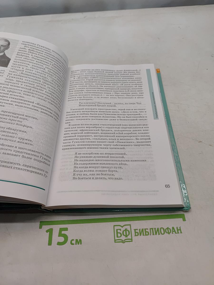 Русский язык и литература. Литература. Учебник для 11 класса. Базовый уровень. В двух частях. Часть 1