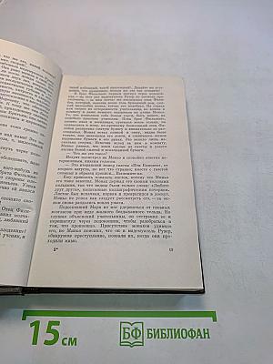 Собрание сочинений. Том двадцать второй. Четвероевангелие