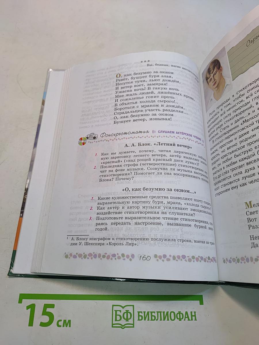Литература. 6 класс. Учебник. Часть 2