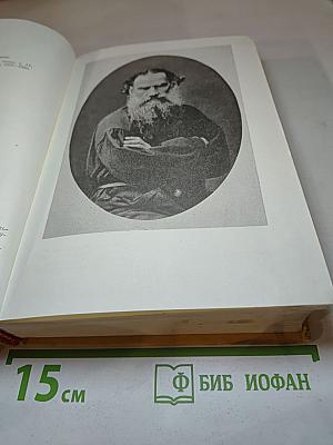 Война и мир. Тома первый и второй