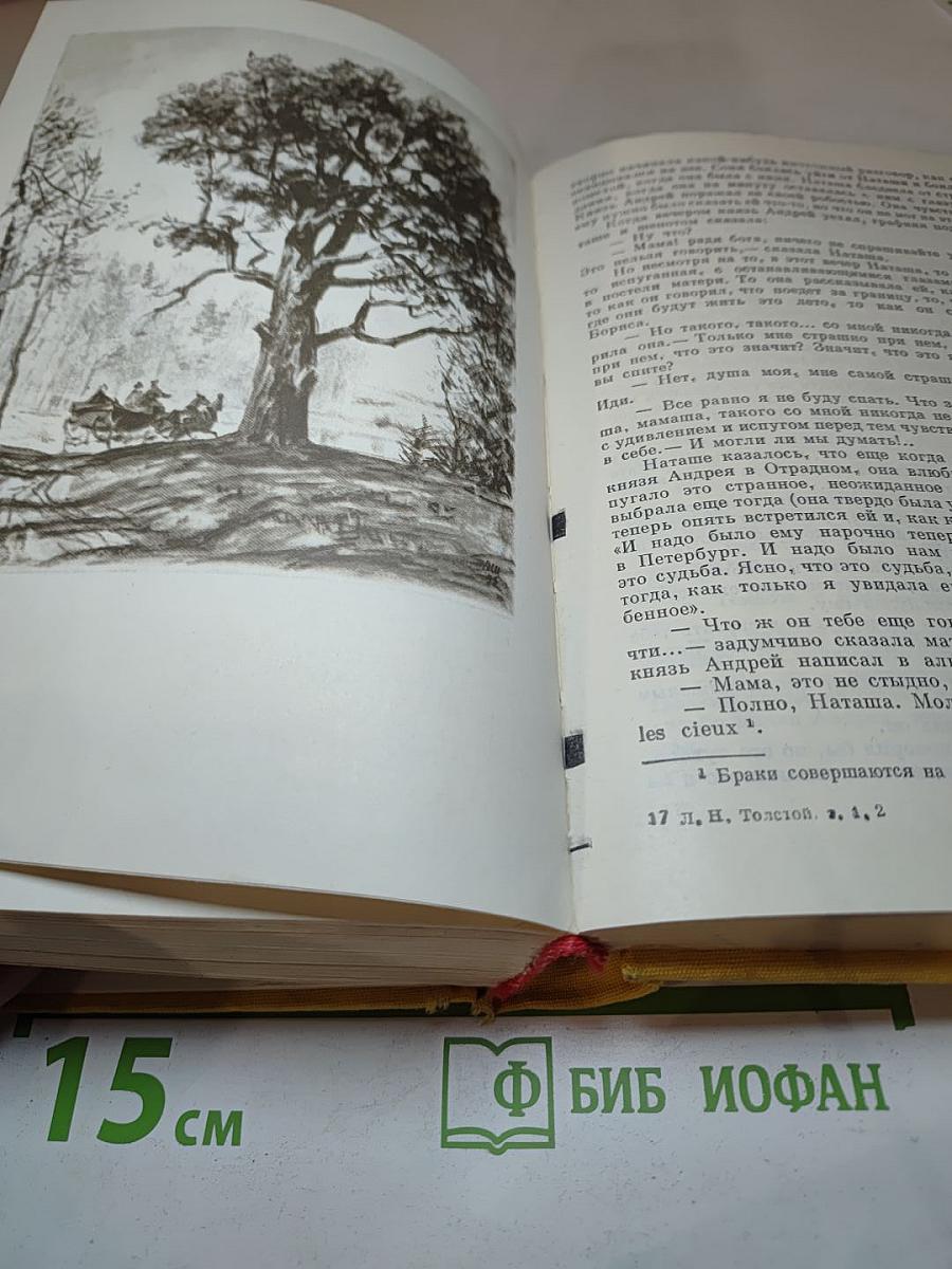 Война и мир. Тома первый и второй