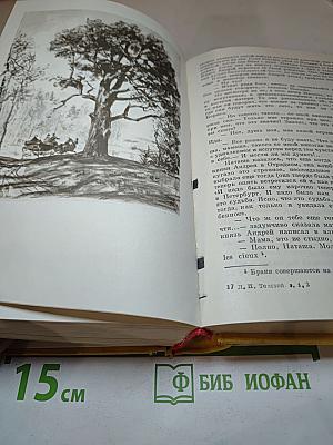 Война и мир. Тома первый и второй