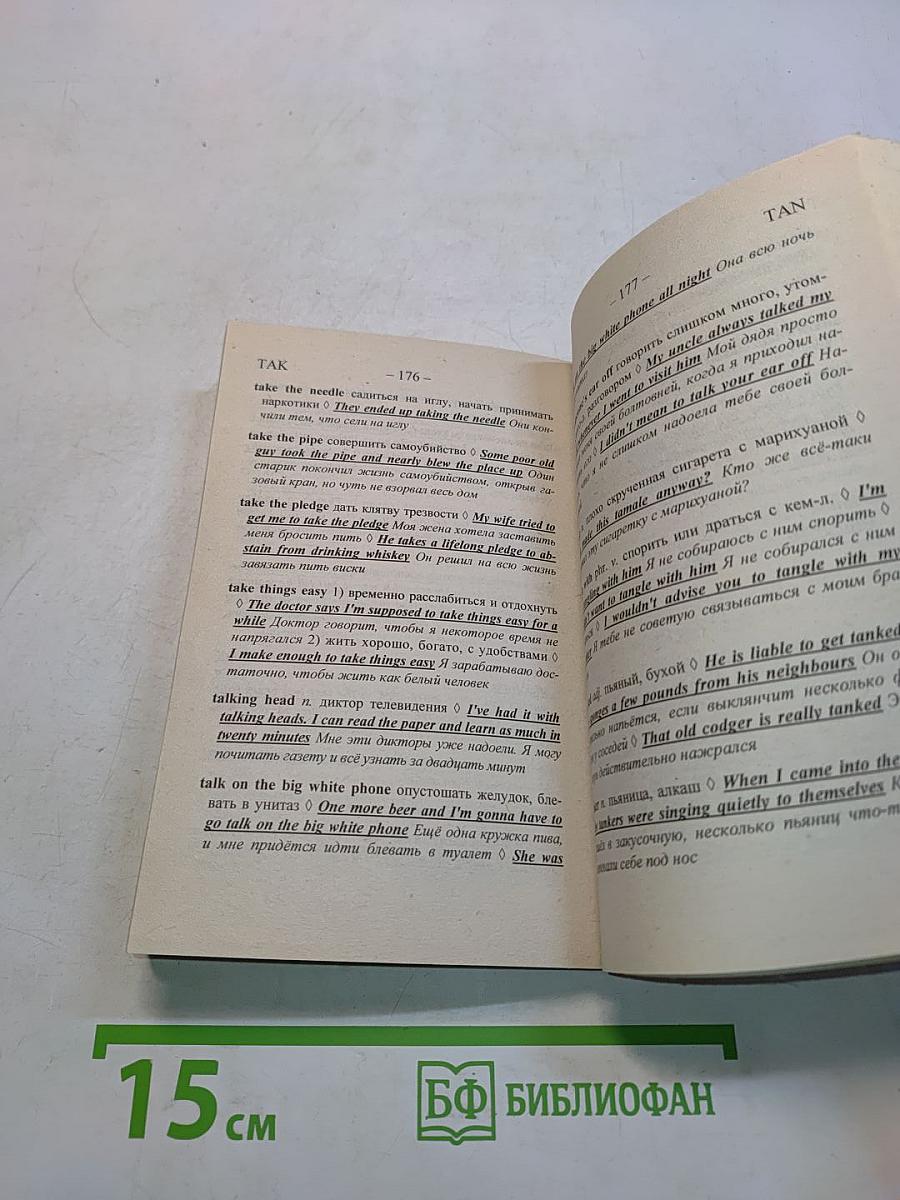 Английский сленг. Словарь-разговорник