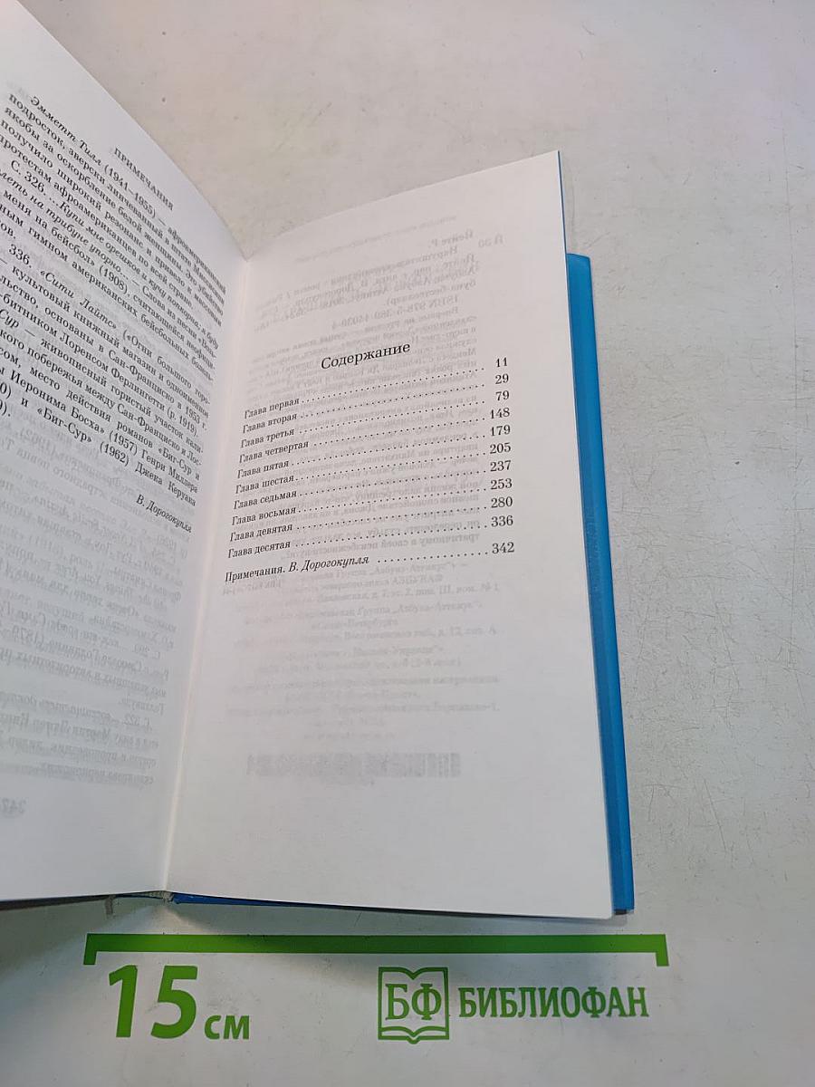 Нарушитель спокойствия