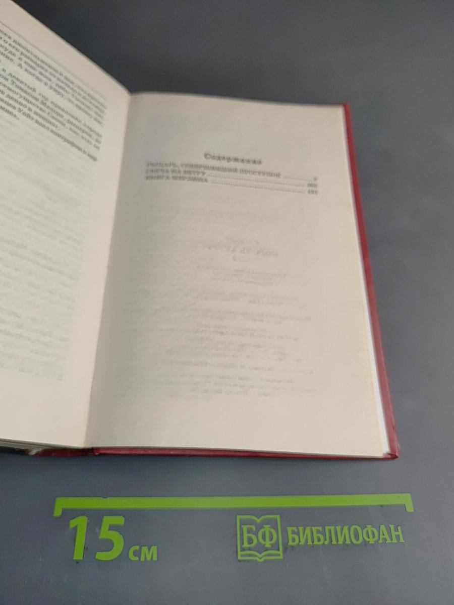 Король Артур. Книга Мерлина. Том 2