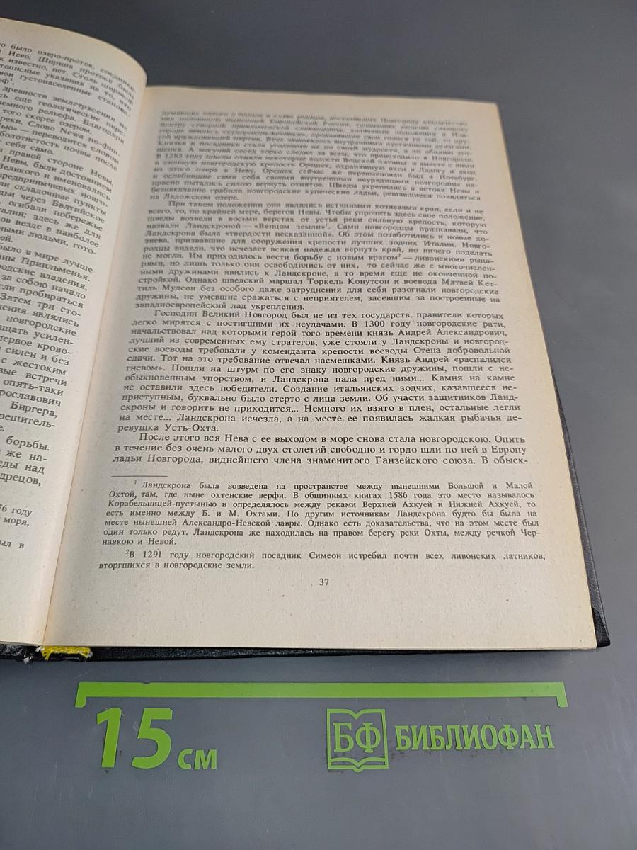 Петра творенье. Очерк из эпохи основания С.-Петербурга. История России в рассказах для детей