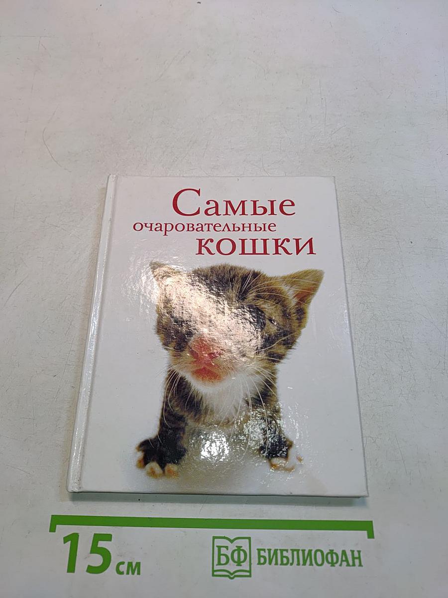 Самые очаровательные кошки