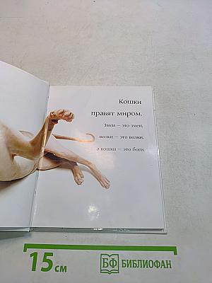 Самые очаровательные кошки
