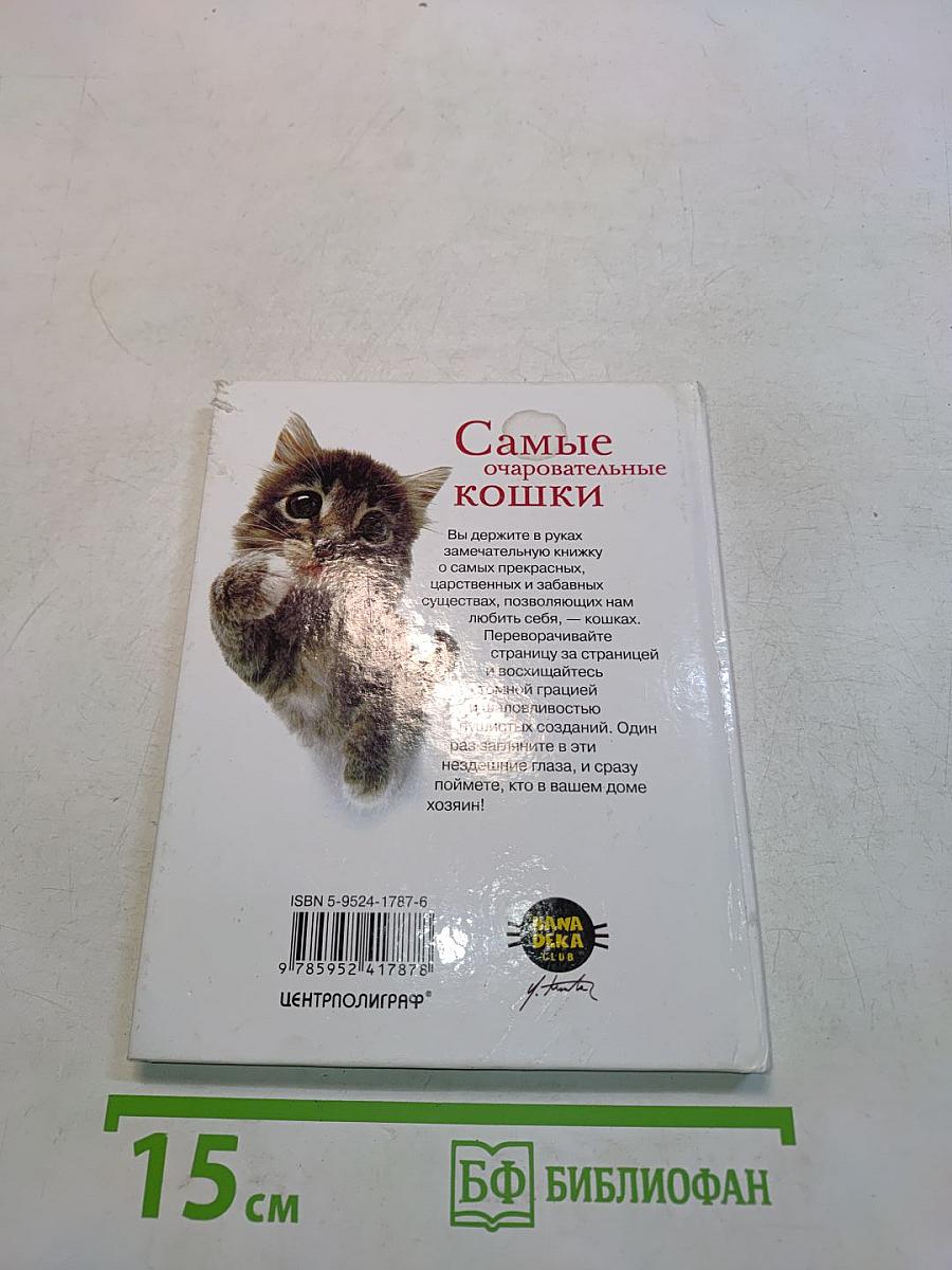 Самые очаровательные кошки