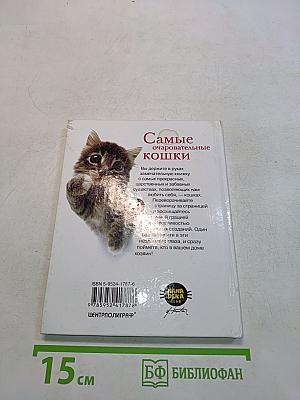 Самые очаровательные кошки