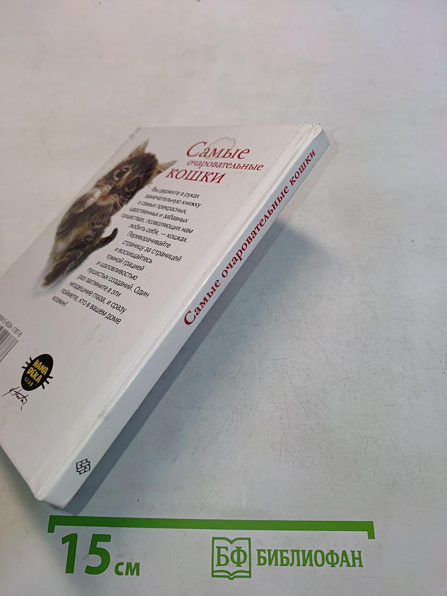 Самые очаровательные кошки