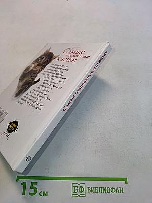 Самые очаровательные кошки