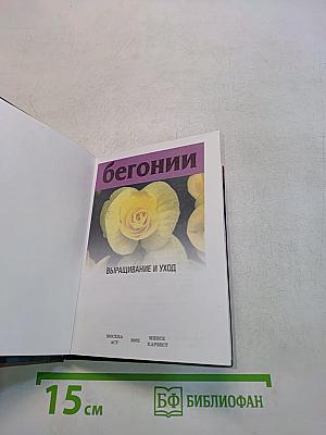 Бегонии: Выращивание и уход