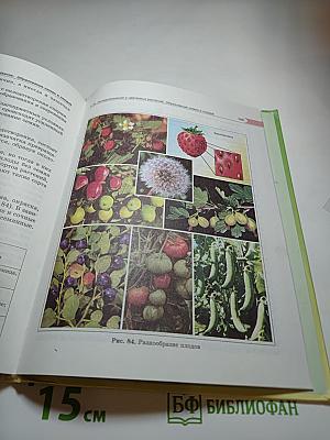 Биология 5-6 класс. Часть 1. Растения. Бактерии. Грибы. Лишайники