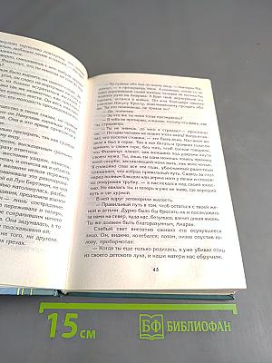 Фея снегов