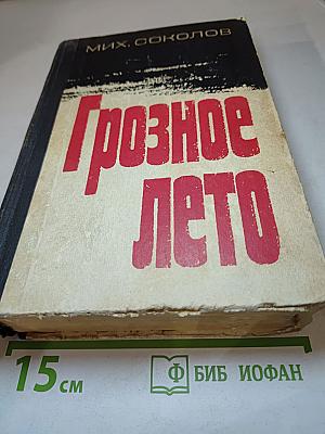 Грозное лето