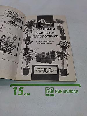 Пальмы, кактусы, папоротники и другие экзотические комнатные растения