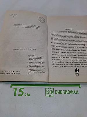 Пальмы, кактусы, папоротники и другие экзотические комнатные растения