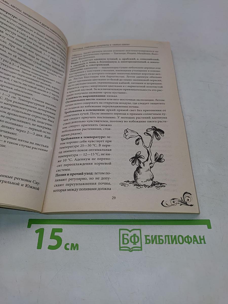 Пальмы, кактусы, папоротники и другие экзотические комнатные растения