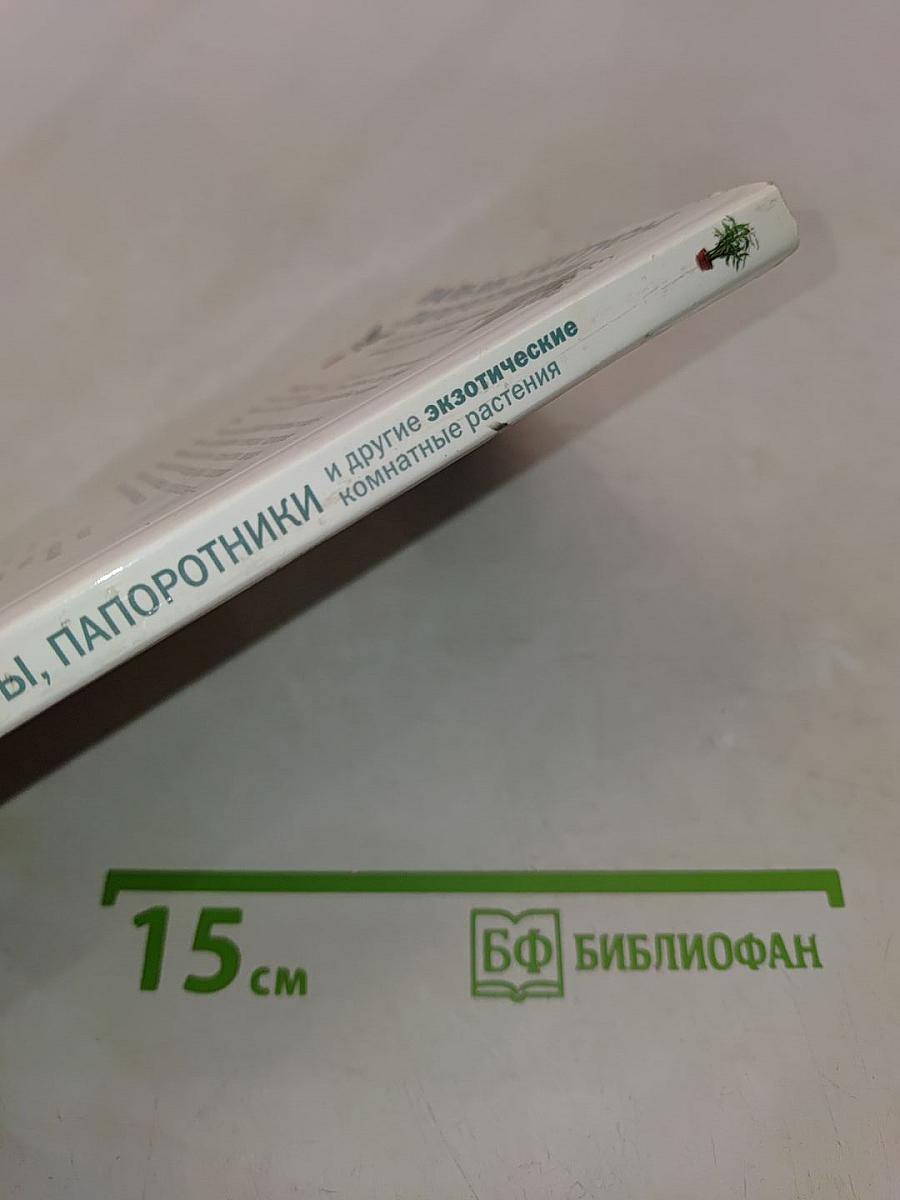 Пальмы, кактусы, папоротники и другие экзотические комнатные растения
