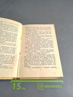 Степное солнце