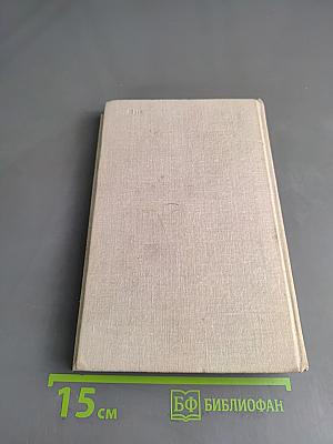 Гороховая, 2