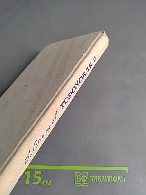 Гороховая, 2