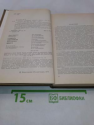 Словарь омонимов русского языка