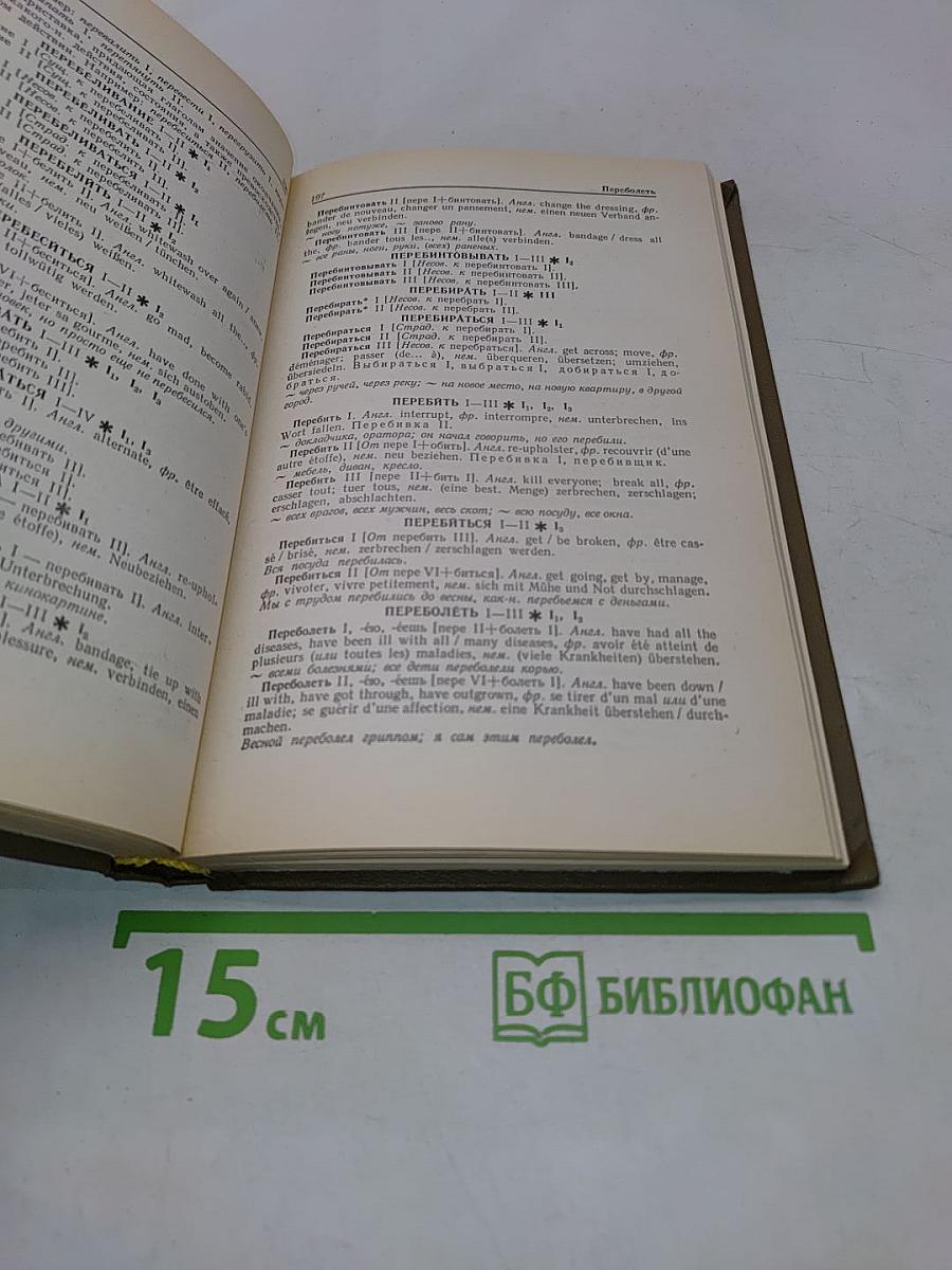 Словарь омонимов русского языка