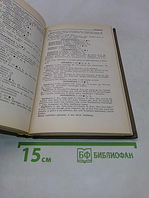 Словарь омонимов русского языка