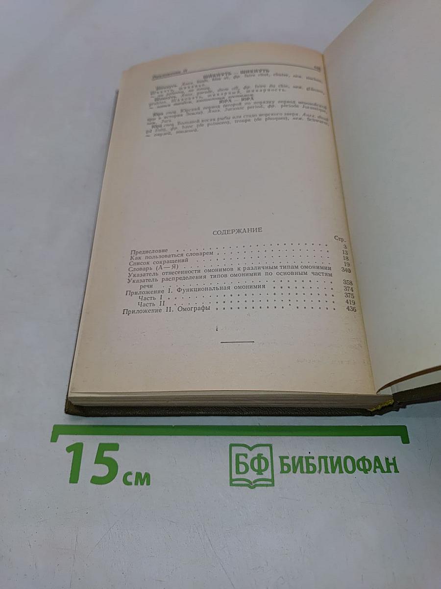 Словарь омонимов русского языка