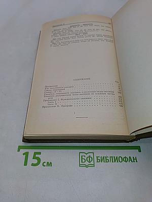 Словарь омонимов русского языка
