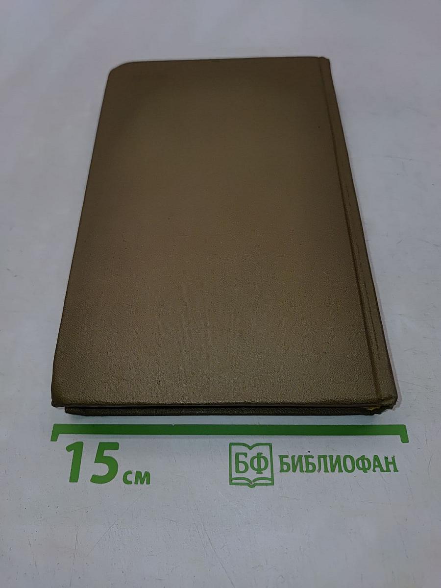 Словарь омонимов русского языка