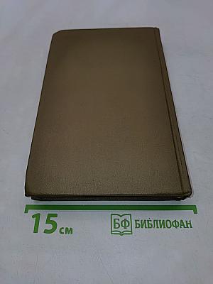 Словарь омонимов русского языка