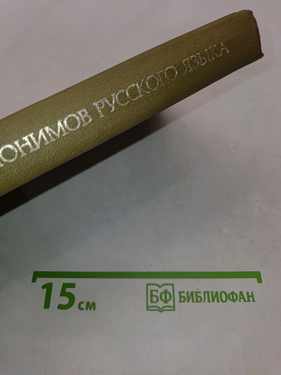 Словарь омонимов русского языка
